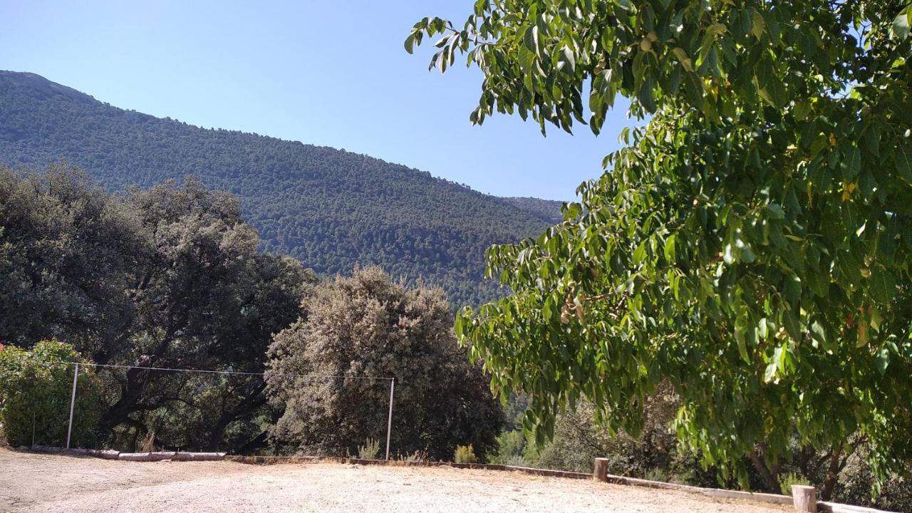 Venta De La Casa Noguera